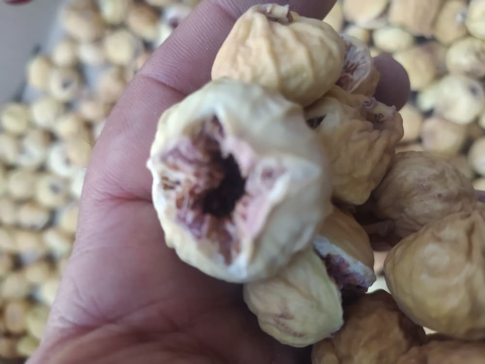 مرکز پخش انجیر با کیفیت استان فارس به سراسر جهان